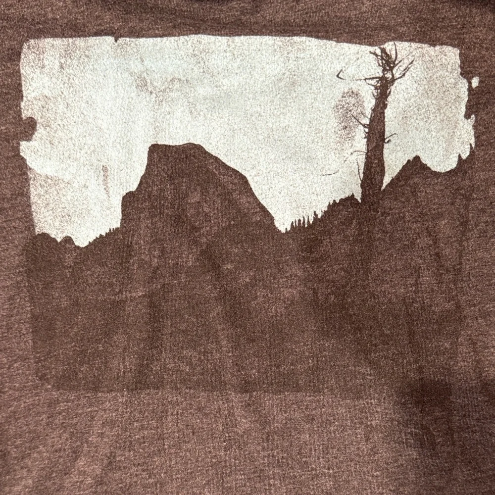 The North Face | Men's Dark Gray Graphic T-Shirt | size L